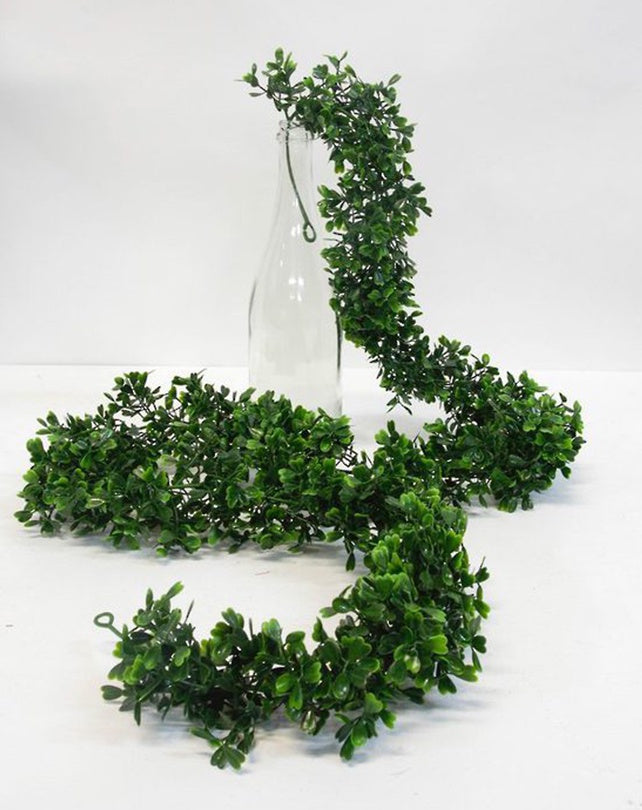 Boxwood Garland 1.8m