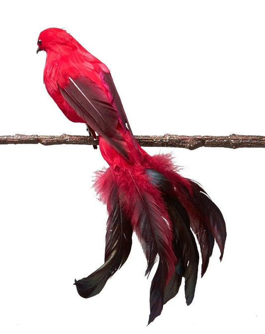 Petra - General - Republic Home