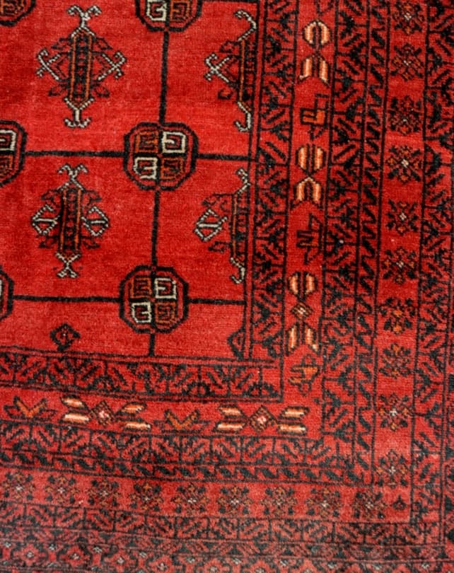 Turkoman Rug 156x105cm - Rugs - Republic Home