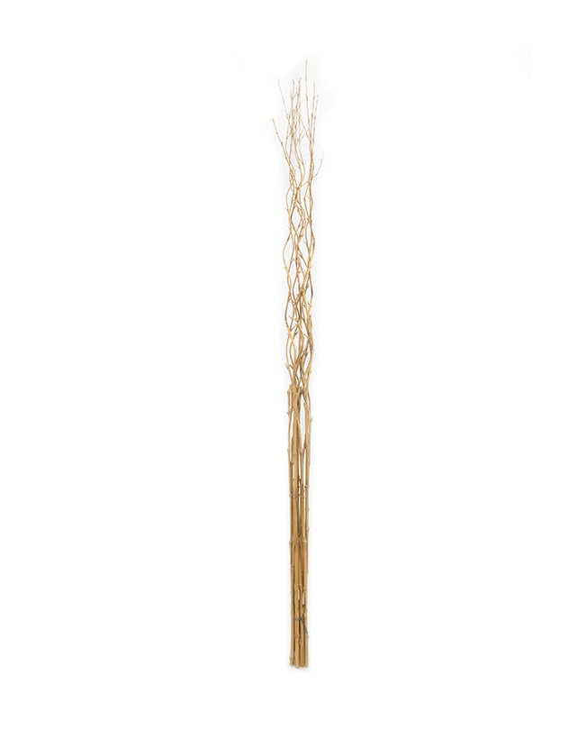 Dried Bamboo Deco Branch Sticks - 160cm Natural