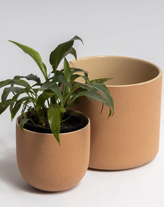The Fot Pot Curved Base - Small - Republic Home - Homewares