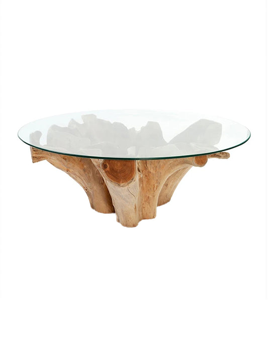 Teak Root Coffee Table w/Glass - Republic Home - Furniture