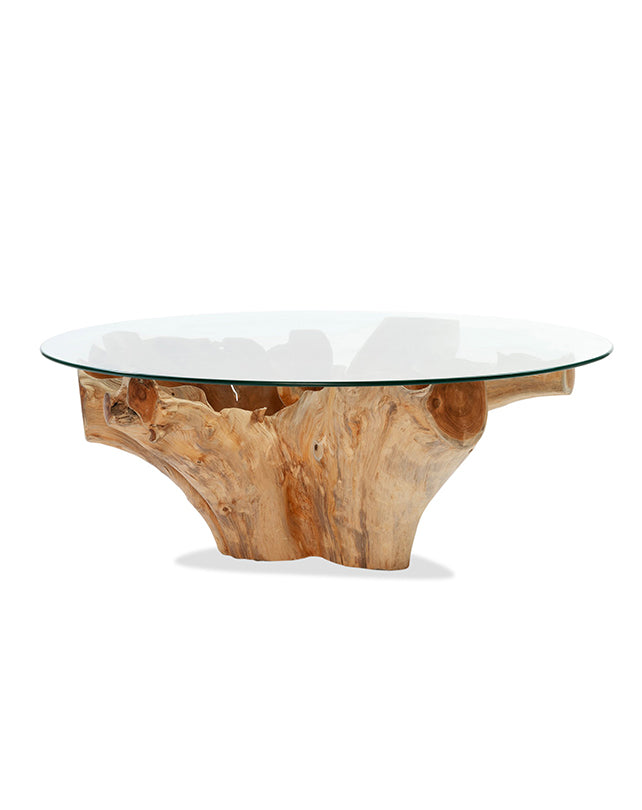 Teak Root Coffee Table w/Glass - Republic Home - Furniture