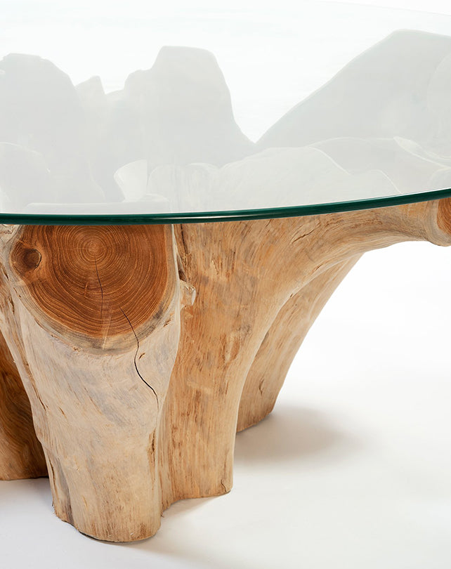 Teak Root Coffee Table w/Glass - Republic Home - Furniture