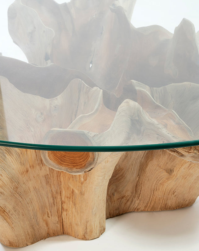 Teak Root Coffee Table w/Glass - Republic Home - Furniture