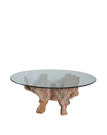 Teak Root Coffee Table w/Glass - Republic Home - Furniture