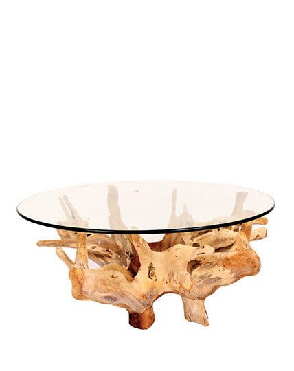 Teak Root Coffee Table w/Glass - Republic Home - Furniture