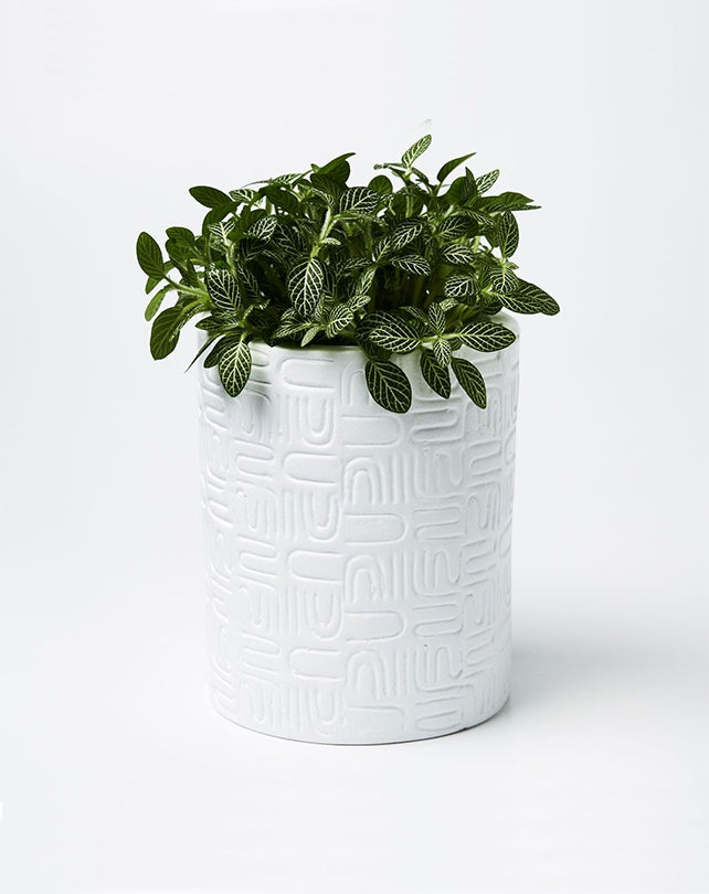 Wiggles Planter - White