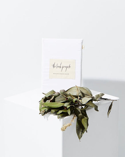 Eucalyptus Pillow Case Set White - Homewares - Republic Home