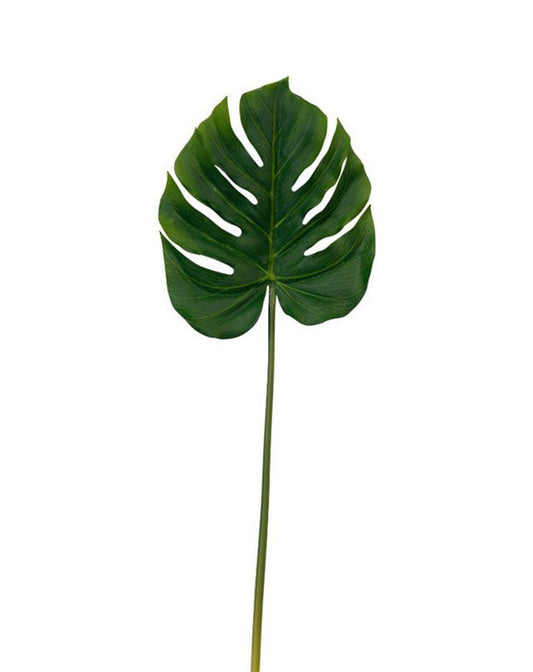 Split Philo Leaf - Homewares - Republic Home