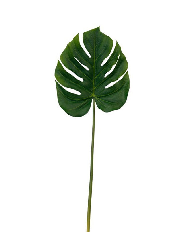 Split Philo Leaf - Homewares - Republic Home